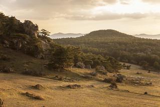 A vibrant landscape depicting the ancient region of Phrygia in modern-day Turkey